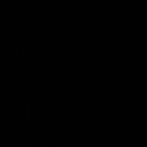 Meet your Posher, Tamara